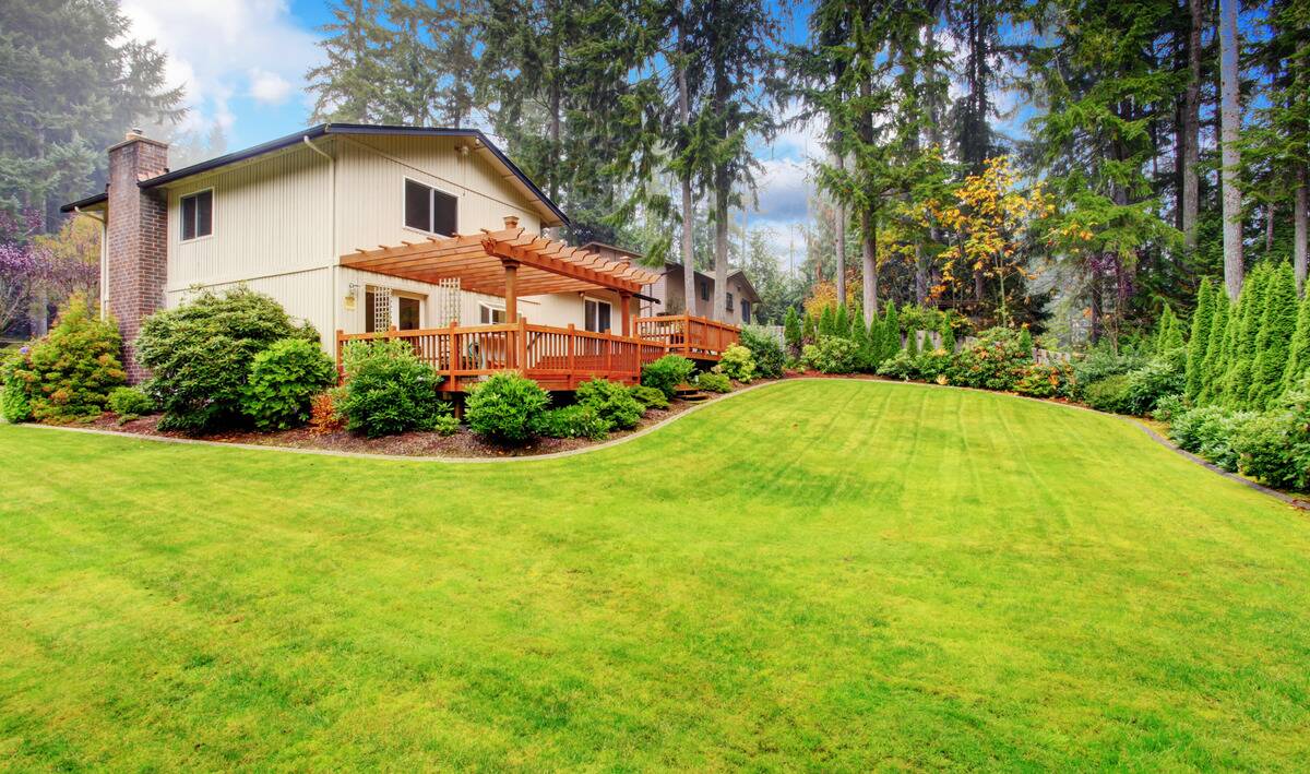 A large, sloped backyard behind a house.