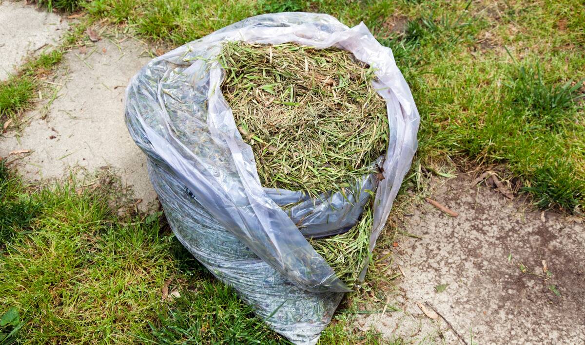 A bag of grass clippings on a lawn.