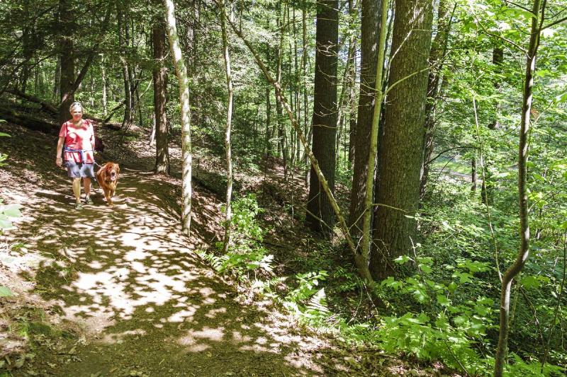 Flat Rock, North Carolina, Appalachian Mountains, Carl Sandburg Home National Historic Site, nature trail, woman walking dog