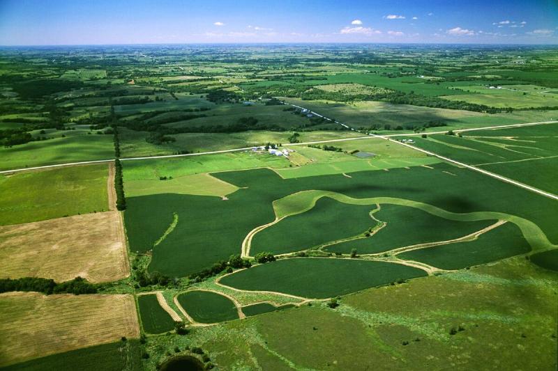 Agriculture