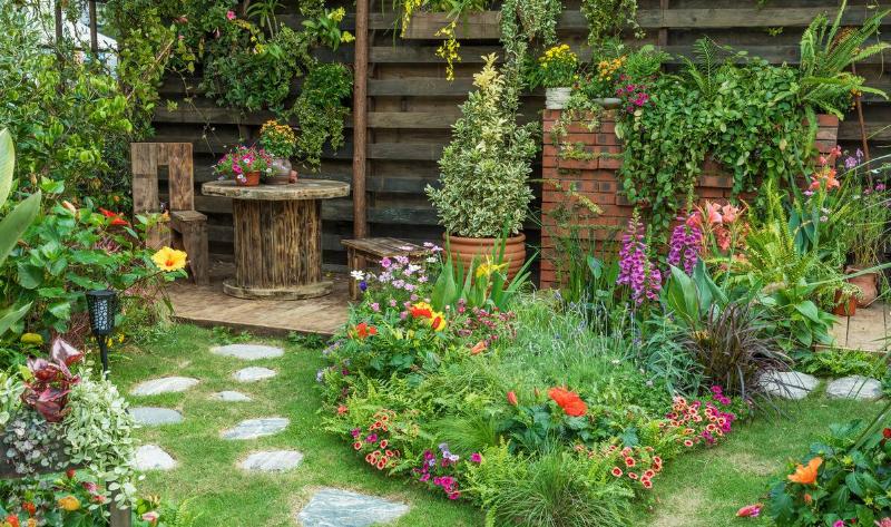 A backyard garden with variety and levels.