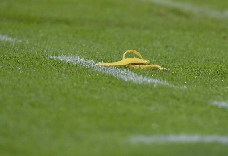 A supporter throws a Banana Peel on pitch during the Bundesliga match  between SC Freiburg and Hertha BSC at Mage Solar Stadium on September 
19, 2014 in Freiburg, Germany
