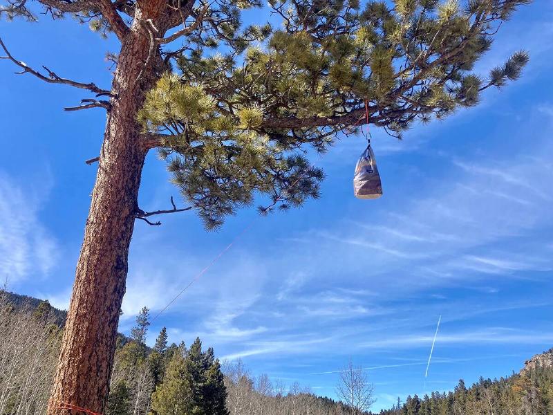 A bag of food hanging from a tree, low angle shot.