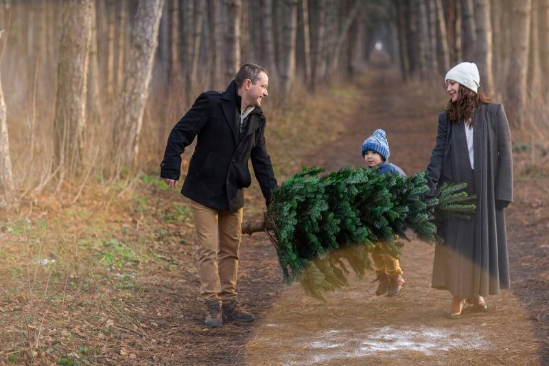 Happy family in warm clothes carrying Christmas fir tree together walking on path in woods