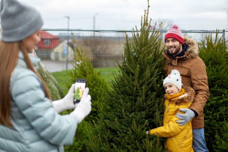 A family picking out a Christmas tree, the mom taking a photo of the father and child near the tree.