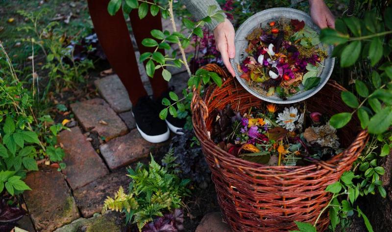 A person collecting dead flowers and plants from their garden to use as compost.