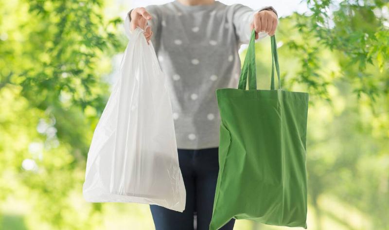 A person holding their arms out forward, in one hand if a plastic bag, in the other is a fabric tote.