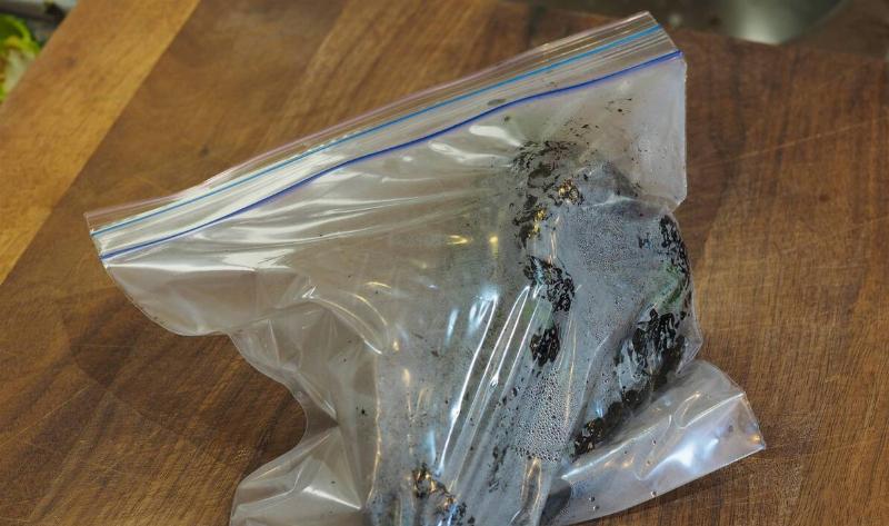 A ziploc bag with a blackened pepper inside.