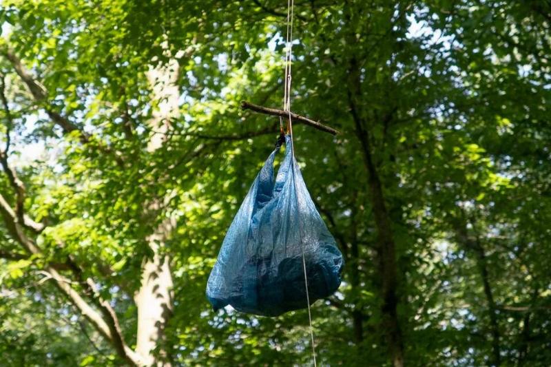 A bear bag hanging from a branch out of frame.