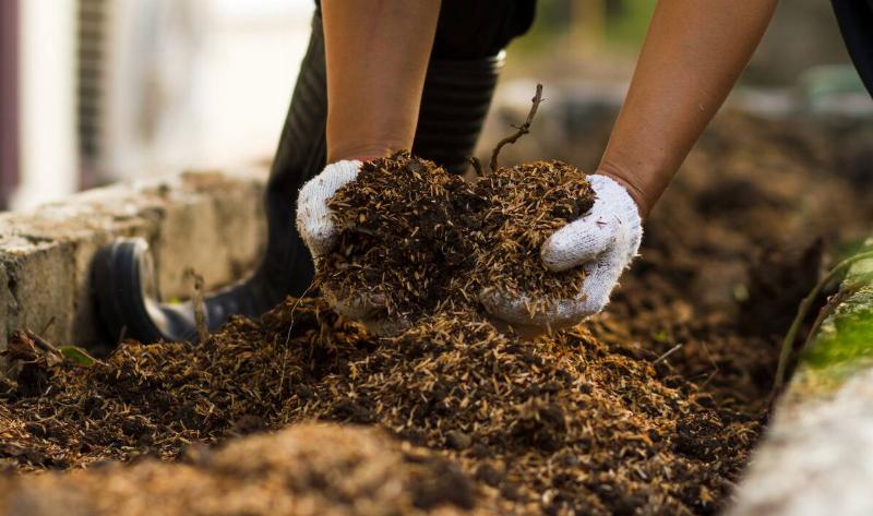 A person mixing soil with their hands.