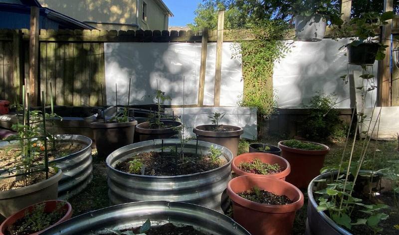 A photo of someone's backyard with many small garden beds in barrels, reflective white material hung up on the fence.