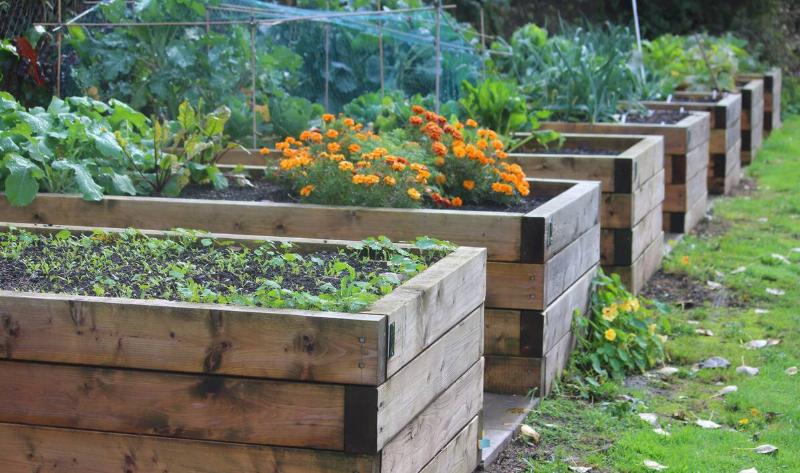 A row of raised planter boxes.