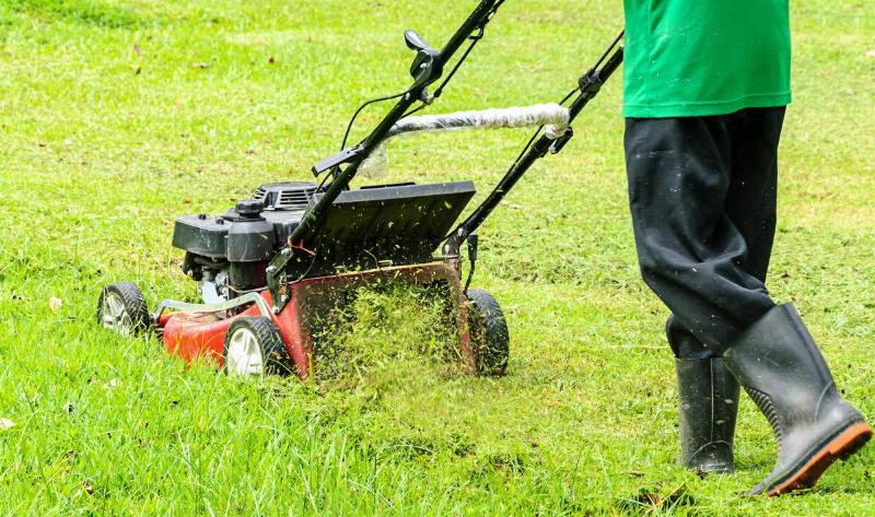 A person mowing the lawn.