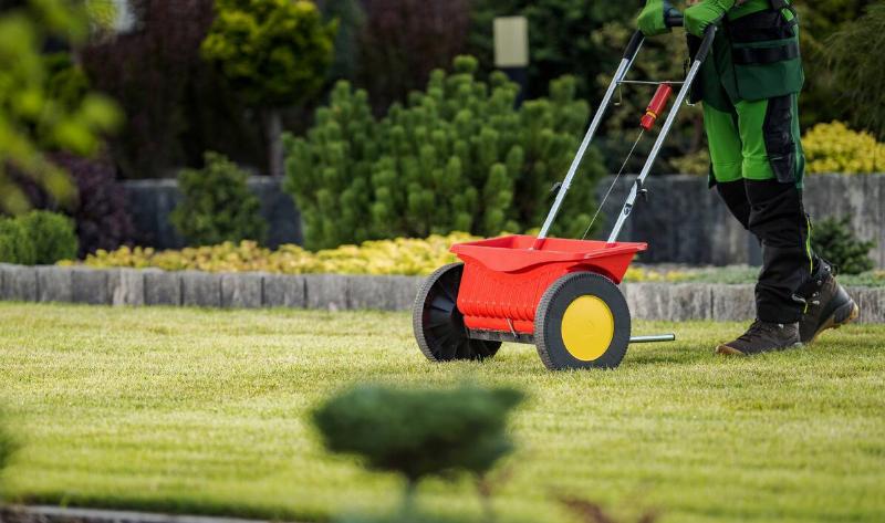 A grass seed spreader.