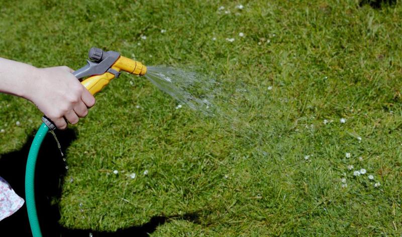 A hand using a hose to water a patch of grass.