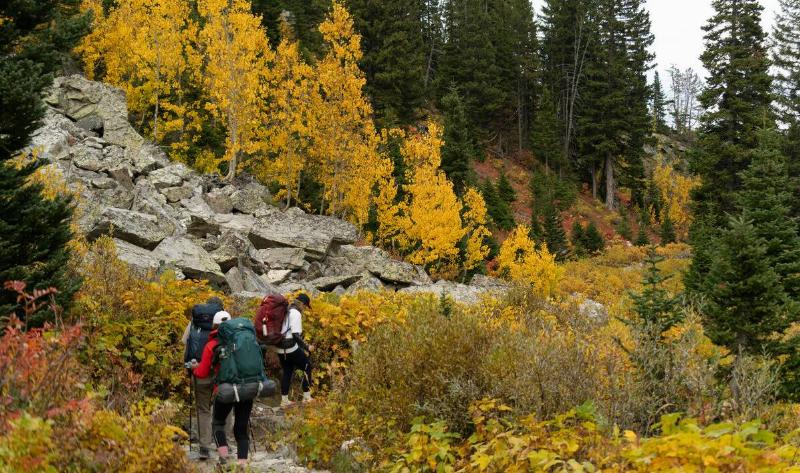 A trio of hikers walking through a trail.