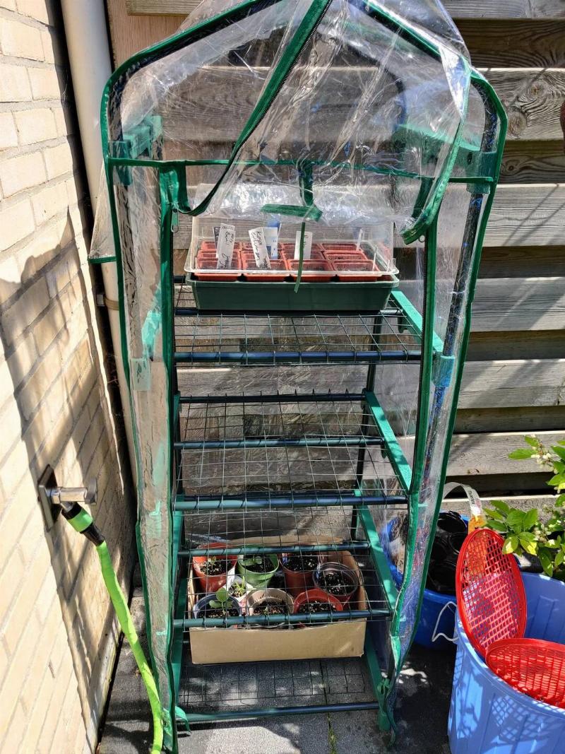 A tall, skinny shelf in a backyard, a plastic greenhouse-like covering over it.