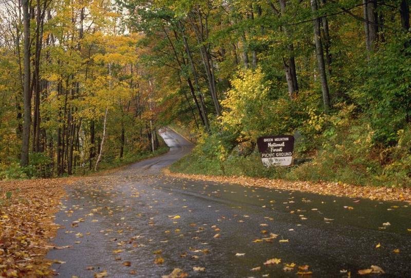 Street Cutting Through the Green Mountain National Forest in Vermont, the sign for the forest on the right side of the road.