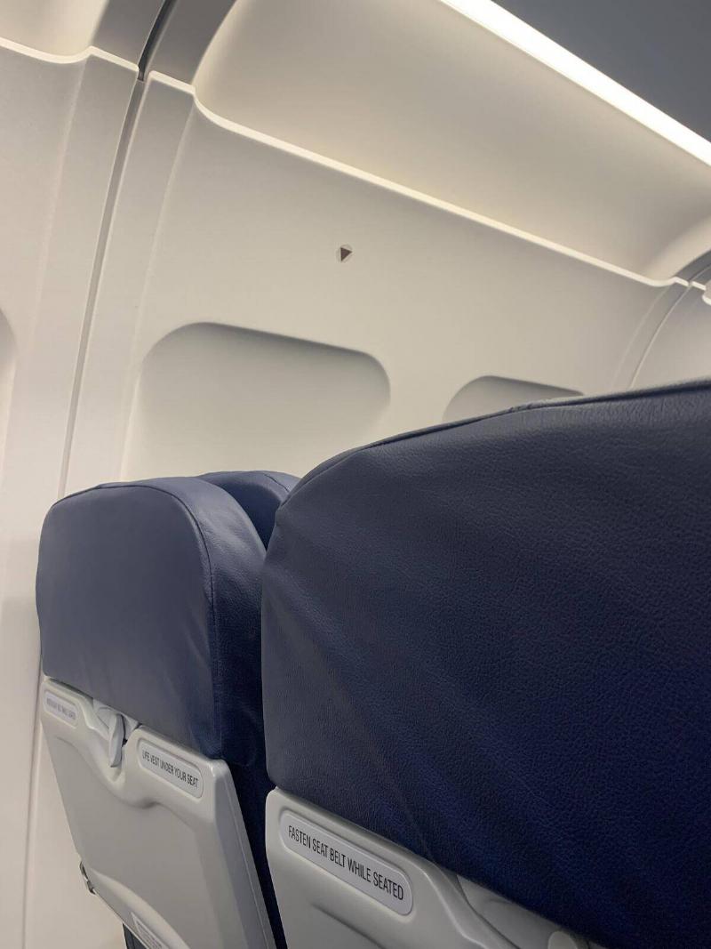 A photo of the back of a few plane seats, as well as a small, black, upsidedown triangle on the wall above the window.