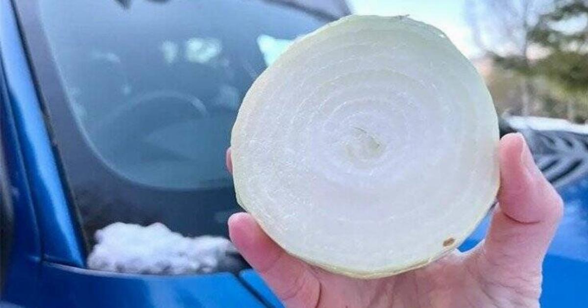 A hand holding up a cut onion.