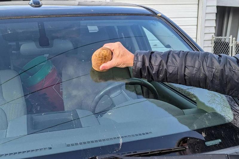 A hand rubbing a cut potato on a car windshield.