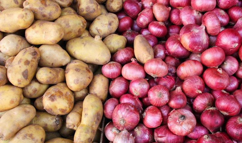 A bunch of potatoes next to a bunch of onions.