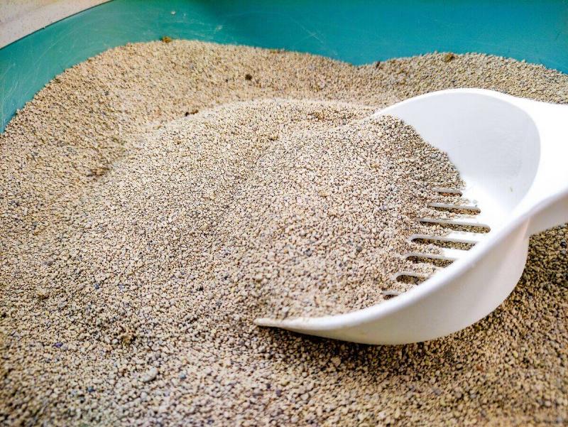 Cat litter with a spoon shovel to clean. Close-up clean litter for cats.