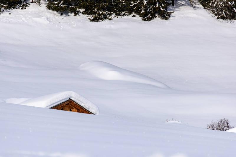 A shed nearly burried in surrounding snow, just the top part of the roof poking out.
