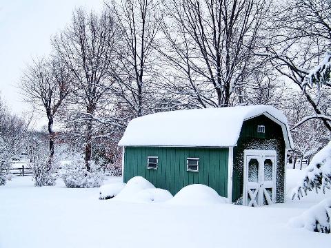 A green, barn-shaped shed in a snowy yard.