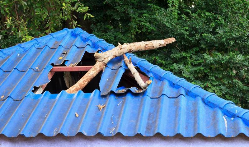 A large branch that's fallen through the roof of a home.
