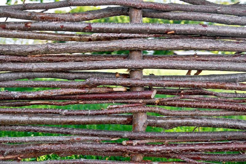 Woven willow fence with green grass in the gaps between the bars