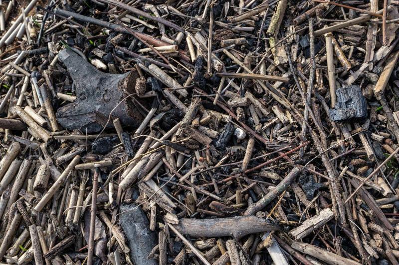 A section of mulch made from chopped sticks.