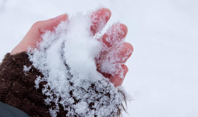 A hand holding some snow.