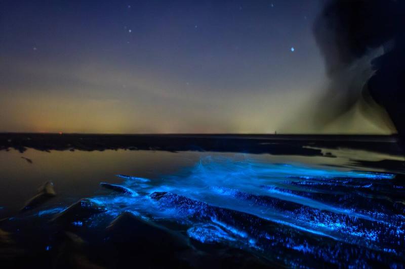 Bioluminescent water near a shore.