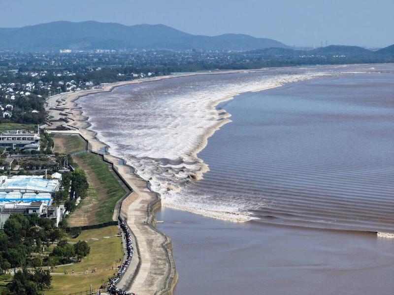 An aerial drone photo taken on Oct. 10, 2025 shows tourists watching the tidal bore of the Qiantang River in Haining City, east China's Zhejiang Province.