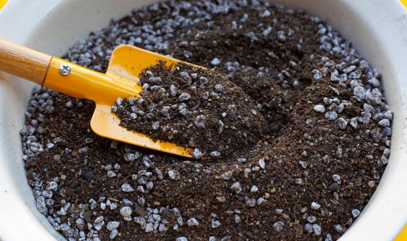 A trowl in some soil.