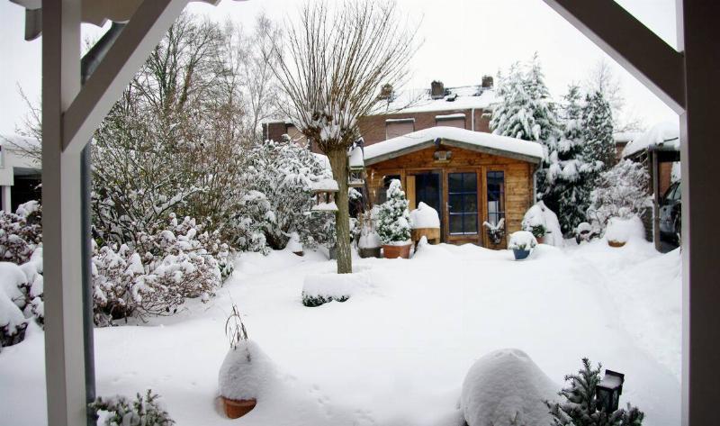 A back garden covered in snow.