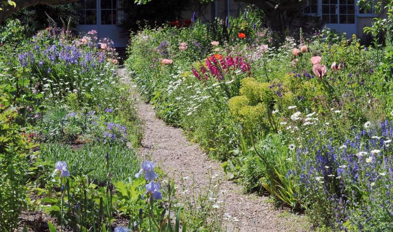A garden with a worn dirt path through it.