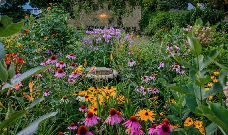 A colorful garden of perennial flowers.