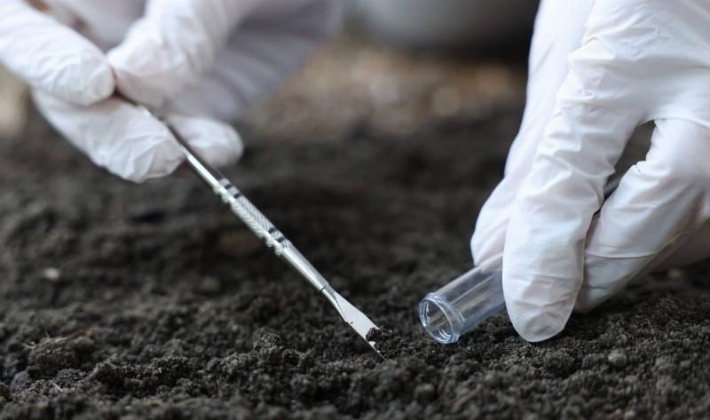 A close photo of a pair of gloved hands using a tiny spade to scoop some soil into a test tube.