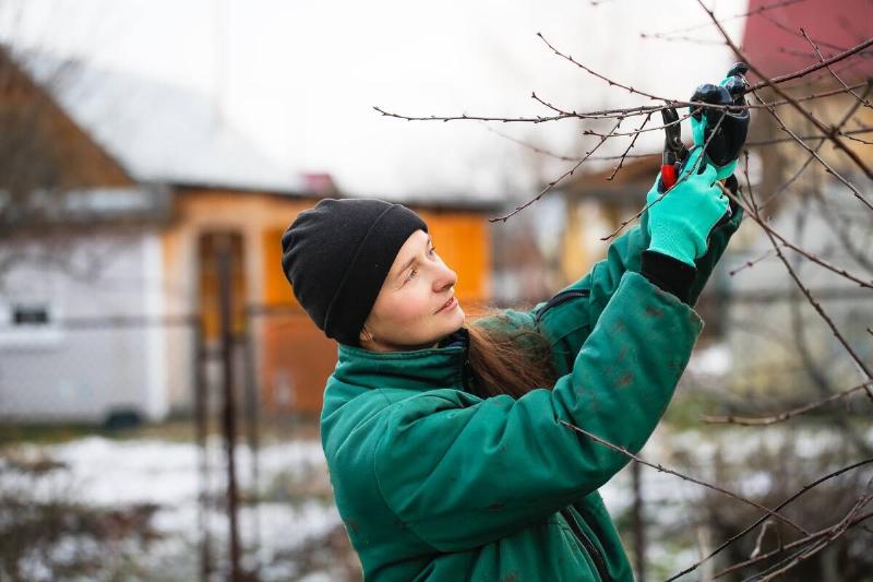 A woman in a jacket and beanie pruning a tree.