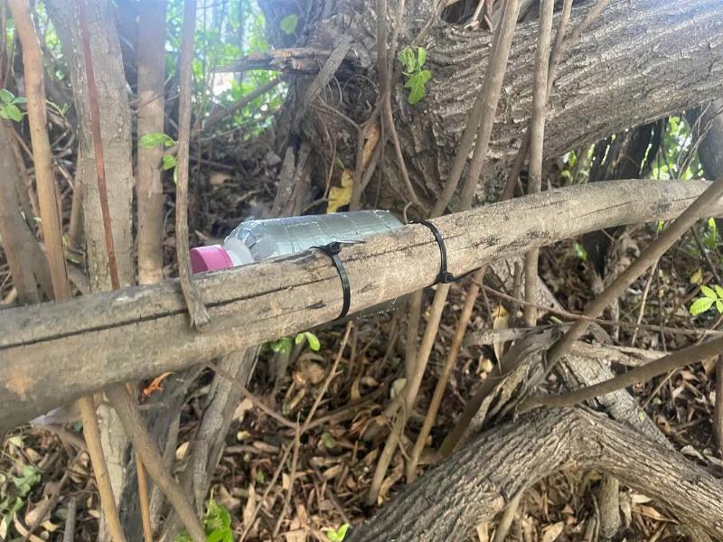 just-deployed-an-all-new-tree-hide-zip-tying-a-container-to-v0-j3b7wl48jgha1