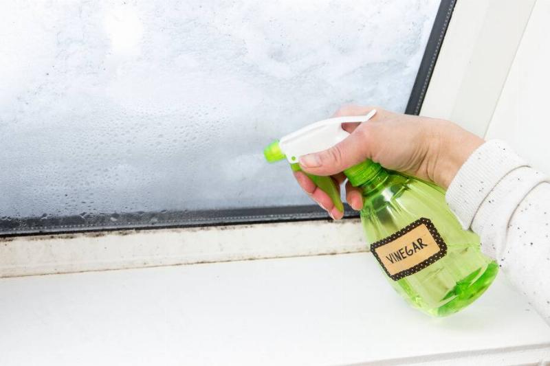 Vinegar spray in a bottle. 