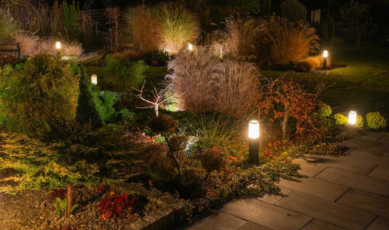 A garden in low light with a variety of shrubs.