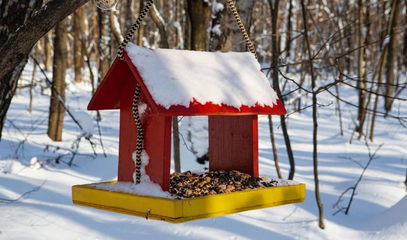 A brightly colored birdfeeder hanging from a tree in the snow and sun.