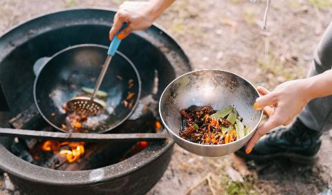 Someone cooking marinated food on a camp fire.