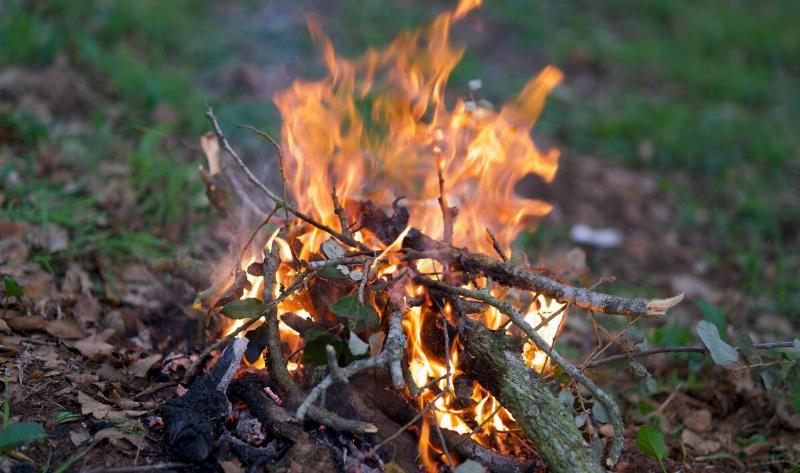 A small, starter campfire.