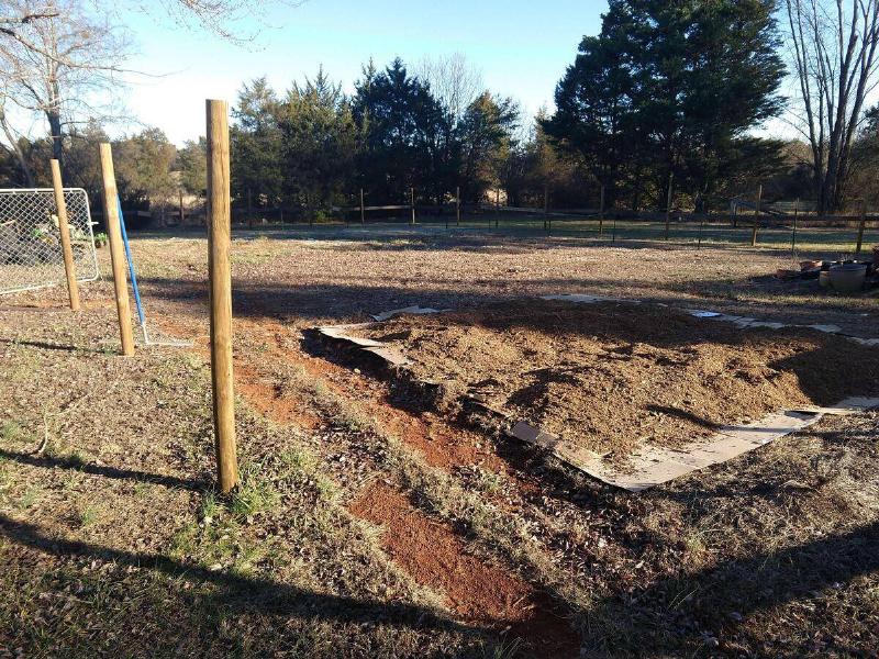 A person's yard after they've laid out cardboard mulch.
