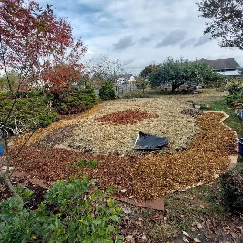 A person's yard after they've laid out cardboard mulch.