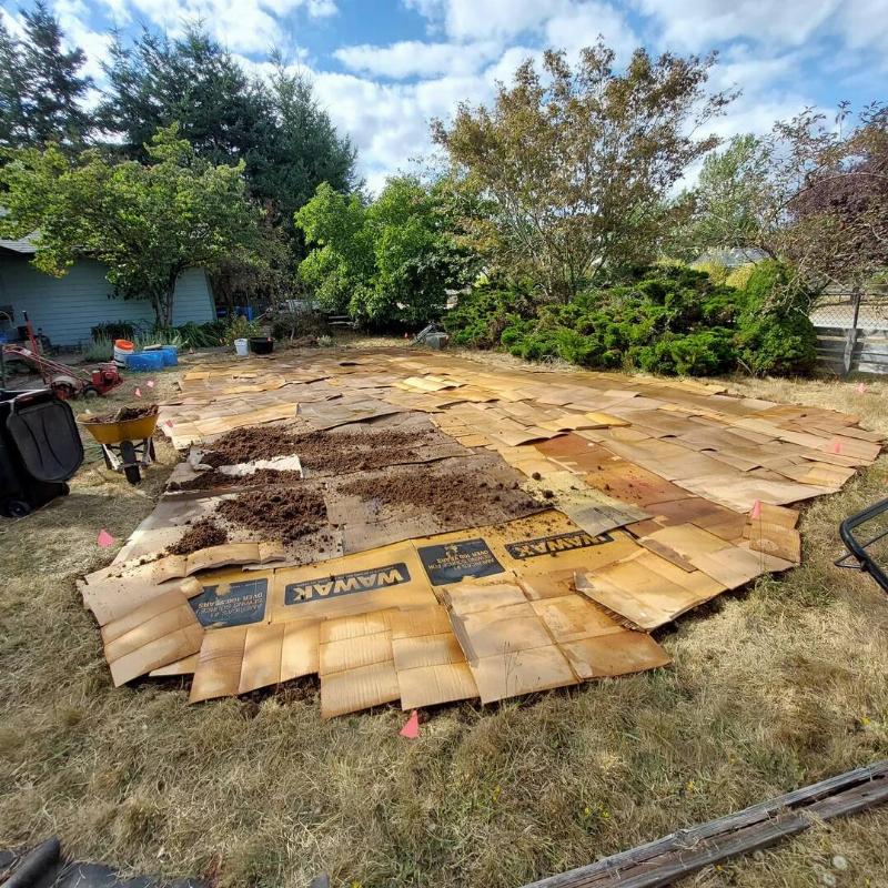 A person's yard after they've laid out cardboard mulch.